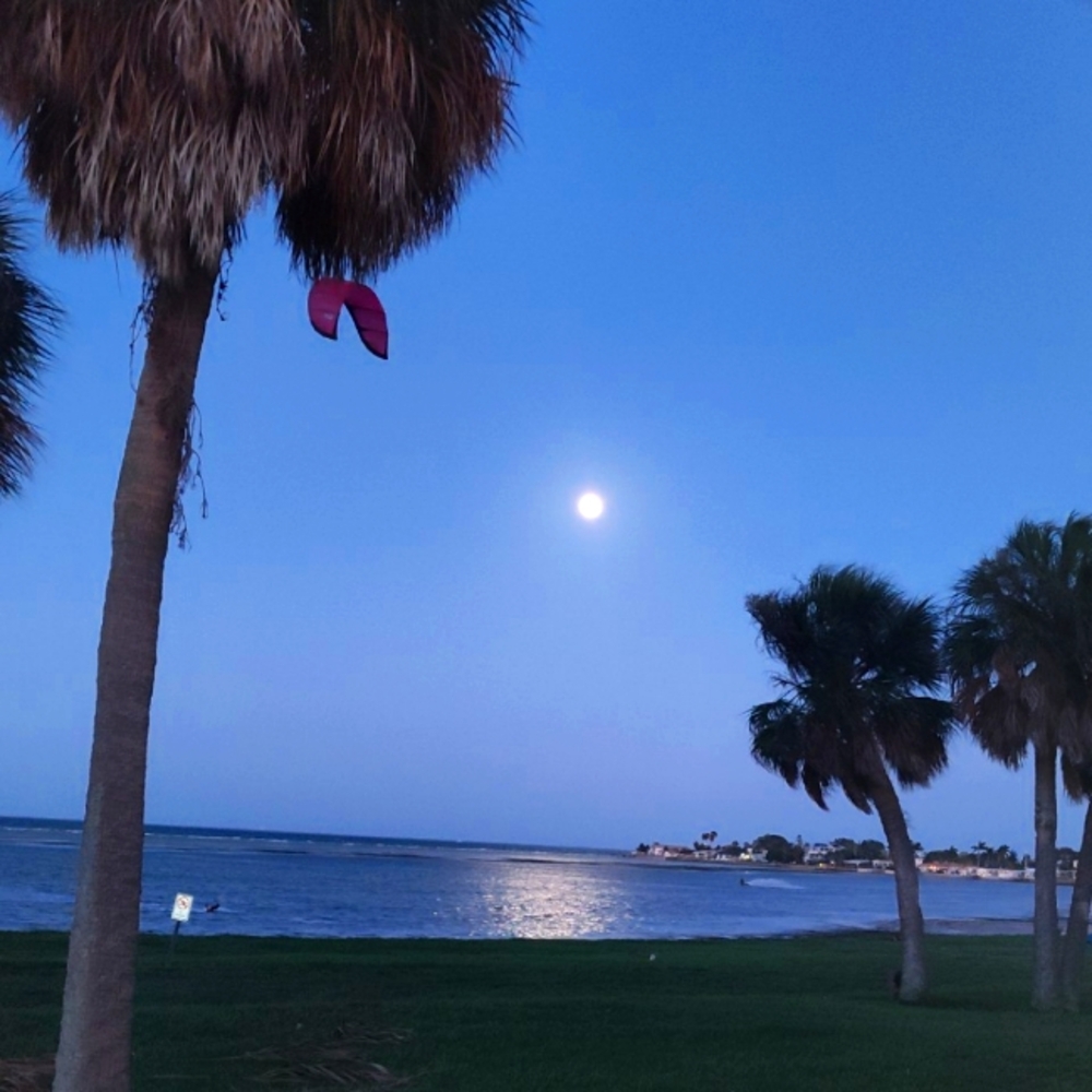 Meet your Posher, Tre